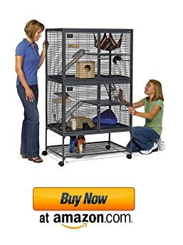 Great large sugar glider cages sets to find online in 2017
