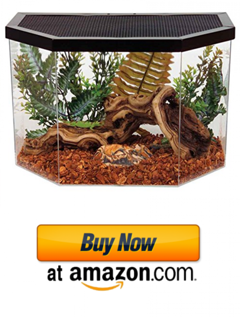 Iguana Cages Best Small & Large Iguana Cages For Sale Reviewed