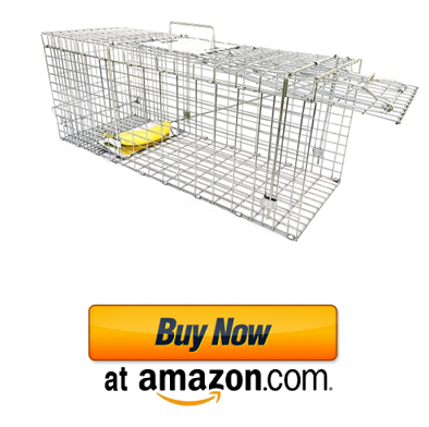 OxGord Live Animal Trap - Humane Catch & Release Large 32 Cage Best for  Raccoon, O-possum, Stray Feral Cat, Rabbit & Rodents - No-Kill Bait Trapping  Kit - Heavy Duty, 2-Door, Foldable