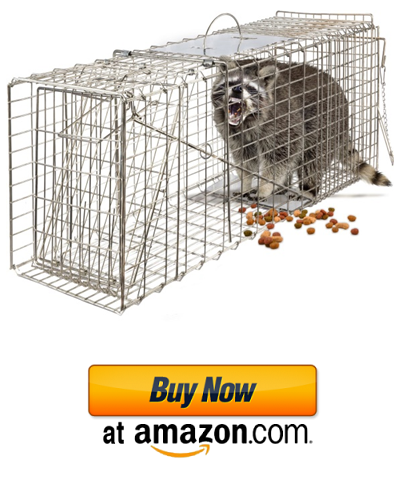 OxGord Live Animal Trap - Humane Catch & Release Large 32 Cage Best for  Raccoon, O-possum, Stray Feral Cat, Rabbit & Rodents - No-Kill Bait Trapping  Kit - Heavy Duty, 2-Door, Foldable