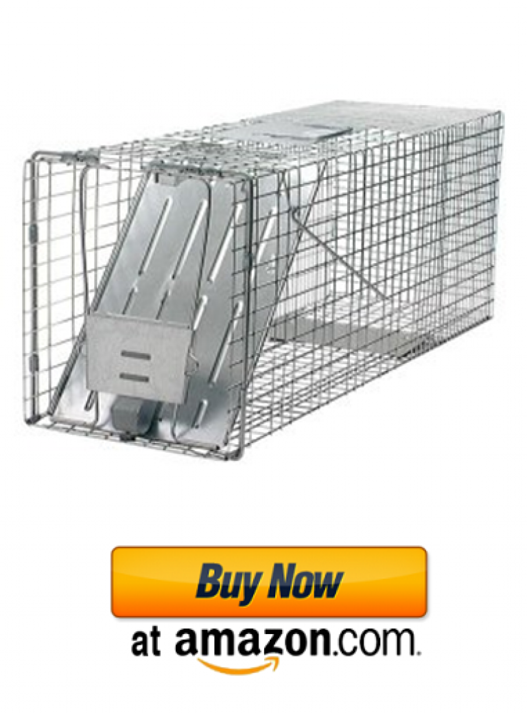 Best Possum Trap in 2020 How To Get Rid of Possums Reviews
